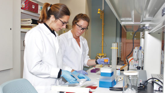 Lab